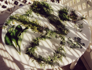 Gathered Herbs