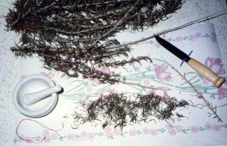 Drying Herbs